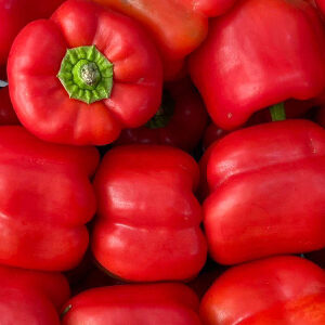 Bell Pepper Red