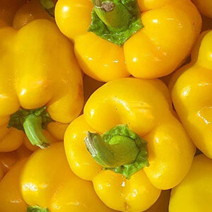 Bell Pepper Yellow