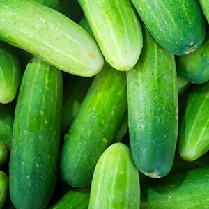 Cucumbers (American Slicing)