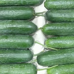 Japanese Cucumbers