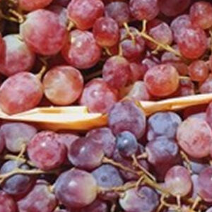 Red Globe Grapes