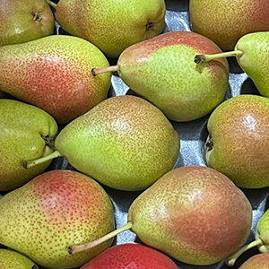 Red Pears