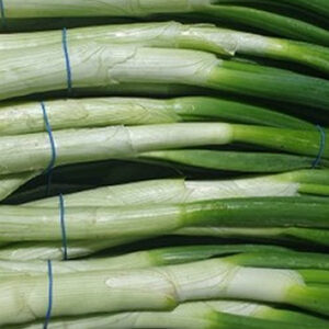 Spring Onion