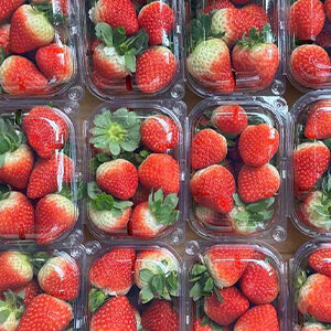 Strawberries